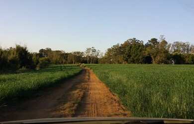 Imagem 2: ITAPETININGA - RURAL - ÁREA RURAL DE ITAPETININGA