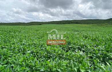 Imagem 7: Fazenda em Montes Claros de Goiás. gt 219 Alq. 1.060 há