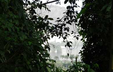 Imagem 9: RIO DE JANEIRO - Loteamento/Condomínio - JARDIM BOTÂNICO