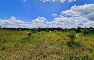 Imagem 3: Vendo Sítio 50 hectares na Alça Viária KM 32. Terreno 500.000m2