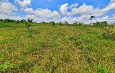 Imagem 2: Vendo Sítio 50 hectares na Alça Viária KM 32. Terreno 500.000m2
