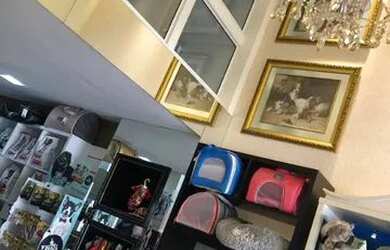 Imagem 3: Pet shop Boutique em Balneário Camboriú
