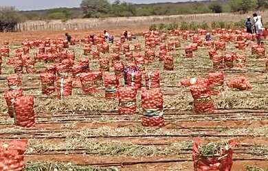 Imagem 8: Oportunidade única. 20.000m² de Área