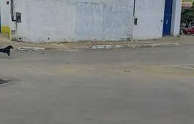 Imagem 13: Galpão Comercial - Viana