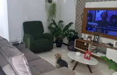 Imagem: IMÓVEL À VENDA EM NOVA PARNAMIRIM