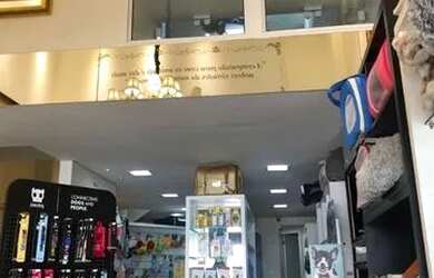 Imagem 5: Pet shop Boutique em Balneário Camboriú