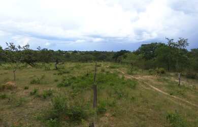 Imagem 11: Fazenda de 226 Hectares em Formoso MG Escriturada