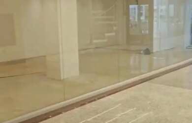 Imagem: O depósito possui 37m² de Área e está localizado em Pituba