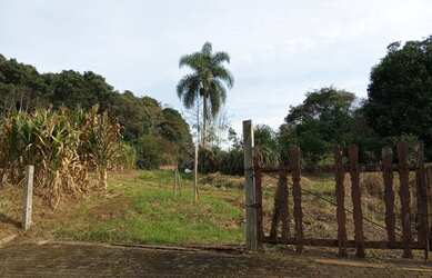 Imagem: A fazenda possui 21.515m² de Área e está localizado em Nova