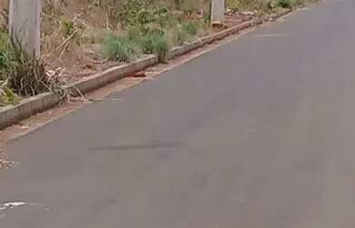 Imagem 2: Vendo Lote comercial. 200m² de Área