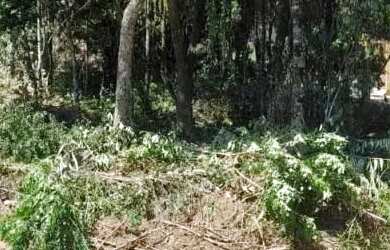 Imagem 2: Terreno - Bairro Parque das Fontes