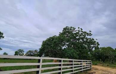 Imagem 12: Imóvel para venda possui 1010000 metros quadrados em Centro - Arinos...
