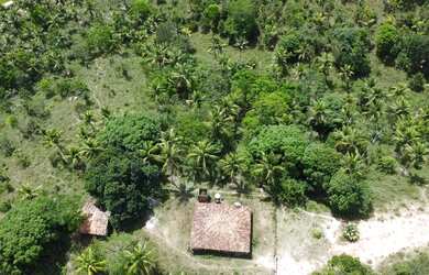 Imagem 2: Fazenda Mista em Conde -BA