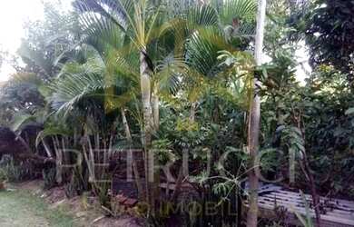 Imagem 5: Terreno à venda, 500 m² por R$ 240.000,00 - Chácaras Cruzeiro do Sul...