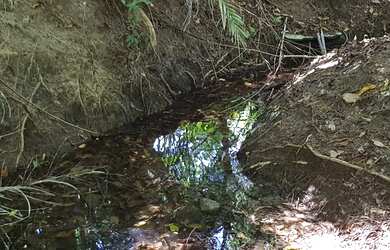 Imagem 7: AREA Beira de pista PB-008 COM 37.500m2 frente PB-008 4km da Praia Bela