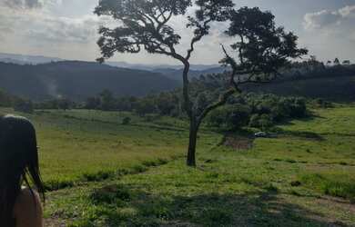 Imagem 14: Lote/Terreno para venda possui 1000 metros quadrados em vila verde