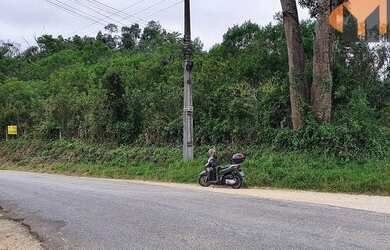 Imagem 8: Área à venda em Almirante Tamandaré na estrada do marmeleiro