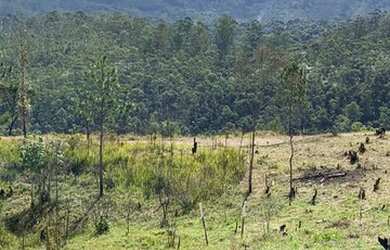 Imagem 15: Lote/Terreno para venda possui 1000 metros quadrados em Jardim Tapajós...