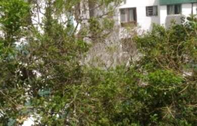 Imagem 7: Porto Alegre - Apartamento Padrão - Nonoai