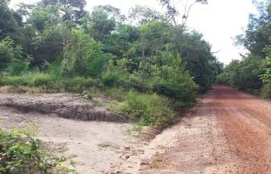 Imagem 4: Terreno No Carapanari. 500m² de Área