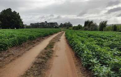 Imagem 12: ITAPETININGA - RURAL - ÁREA RURAL DE ITAPETININGA