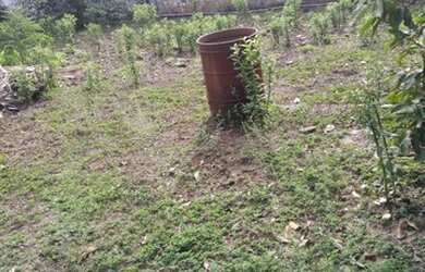 Imagem 8: vendo. 360m² de Área