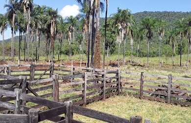 Imagem 6: MINAÇU - RURAL - Zona Rural