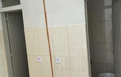 Imagem 2: Galpão para alugar 2.700