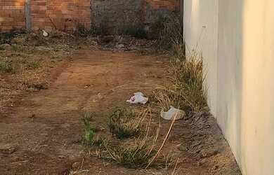 Imagem 9: Lote a venda em Aparecida de Goiânia, setor Pontal Sul