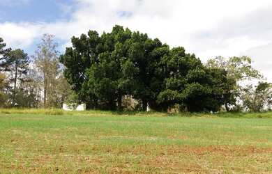 Imagem 5: ITAPETININGA - RURAL - ÁREA RURAL DE ITAPETININGA