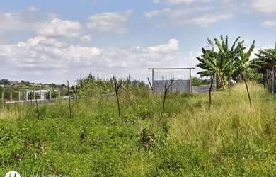 Imagem 1: Vendo terreno. 270.250m² de Área