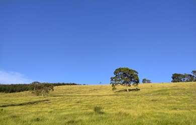 Imagem 11: Lote/Terreno para venda possui 1000 metros quadrados em Centro - Nazaré...