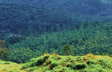 Imagem 5: 89m-Terrenos no Recanto das aguas, lindo! Venha garantir o seu