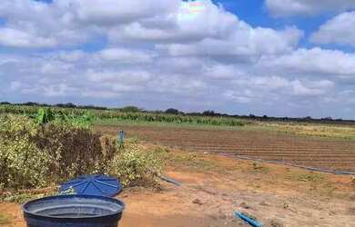 Imagem 12: Oportunidade única. 20.000m² de Área