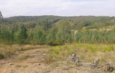 Imagem 6: Área rural em jarinu. 31.387m² de Área