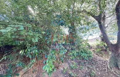 Imagem 3: Excelente terreno à venda, 506 m² por R$ 370.000 - Itaipu - Niterói/RJ...