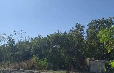 Imagem 3: Casa pra vende riachinho. 6m² de Área, 1 Banheiroe2 Dormitórios