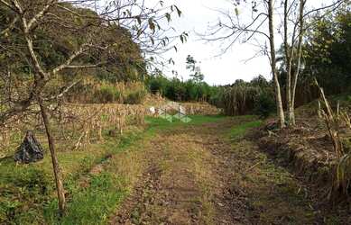 Imagem 2: Terreno em Nova Petrópolis na Serra Gaúcha