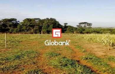 Imagem: A fazenda possui 12m² de Área e Imóvel novo e está localizado