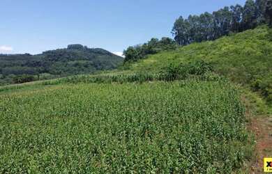 Imagem 14: Sítio / Chácara para Venda em Nova Petrópolis, Linha Olinda, 2 dormitórios,...
