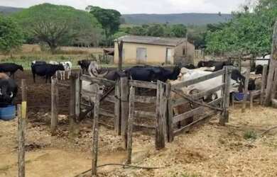 Imagem 14: A M IMOVEIS VENDE EXELENTE FAZENDA COM 180HECTARES EM PARACATU MG
