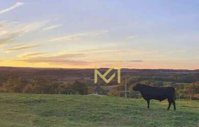 Imagem 9: Sítio - 54.450 m² por R$ 1.900.000 - Rio Do Salto - Cascavel/PR