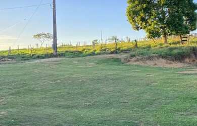 Imagem 3: A M IMOVEIS VENDE EXELENTE FAZENDA COM 180HECTARES EM PARACATU MG