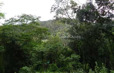 Imagem 8: RIO DE JANEIRO - Loteamento/Condomínio - JARDIM BOTÂNICO