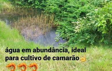 Imagem 4: AREA Beira de pista PB-008 COM 37.500m2 frente PB-008 4km da Praia Bela