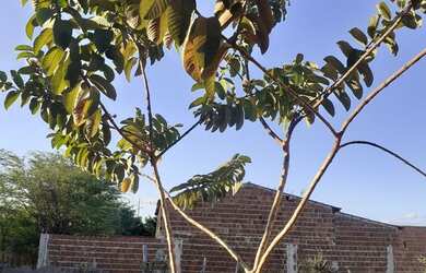 Imagem 4: Vende se uma casa. 27m² de Área