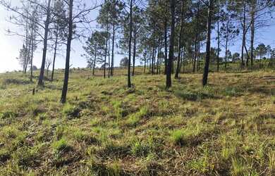 Imagem 5: Lote/Terreno para venda possui 1000 metros quadrados em Vila Santista...