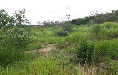 Imagem 4: Lote/Terreno para venda possui 20000 metros quadrados em Almeida - Jaboticatubas...