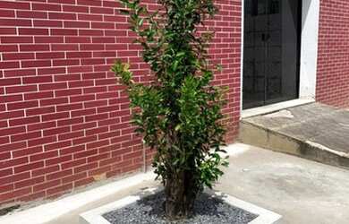 Imagem: BARRA MANSA - Loja/Salão - SAUDADE