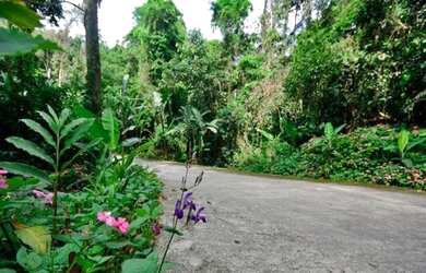 Imagem 16: Angra dos Reis - Casa de Condomínio - Porto Frade